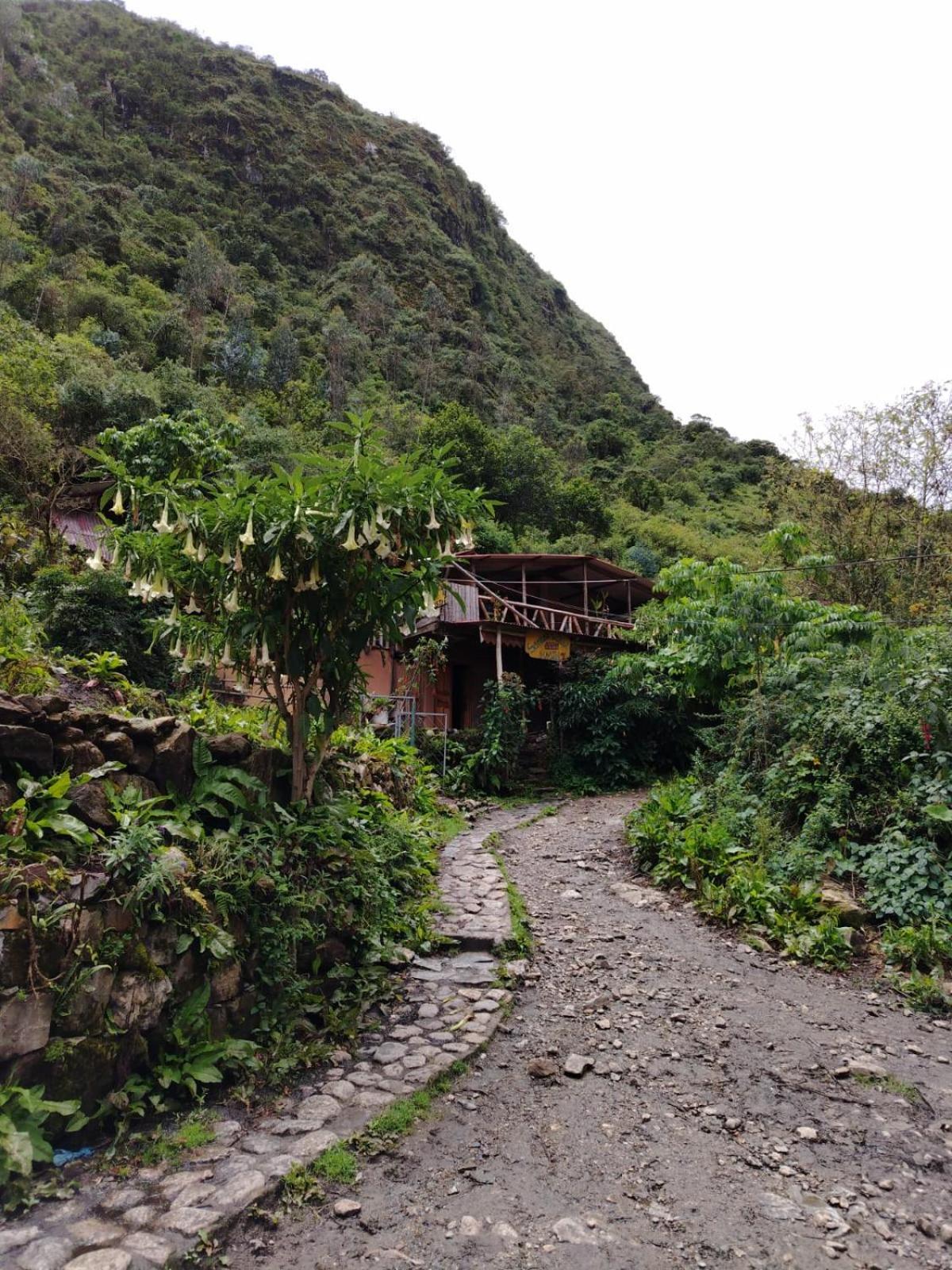 Hostel Samana Wasi Chaullay กุสโก ภายนอก รูปภาพ